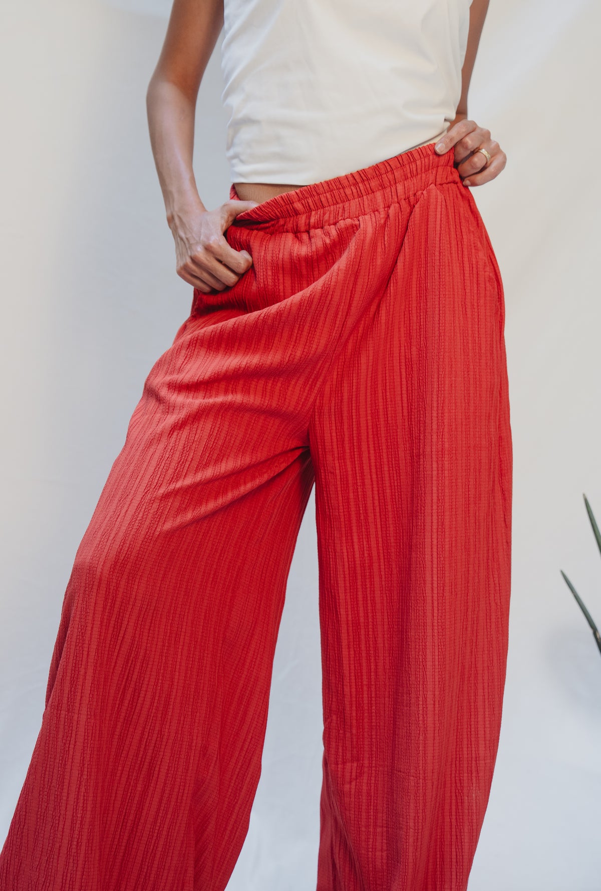 Burnt Rust Wide Leg Pant
