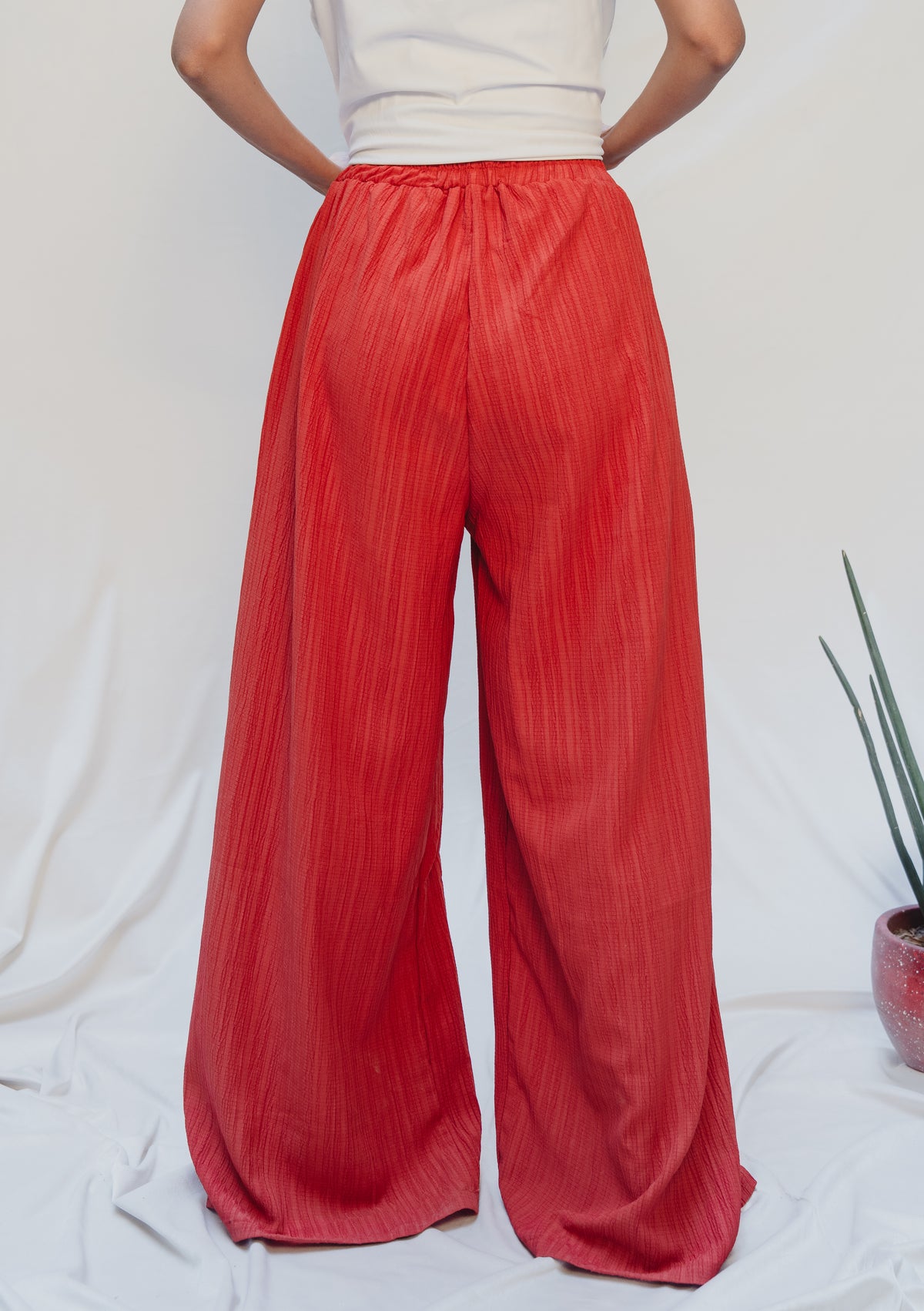 Burnt Rust Wide Leg Pant